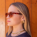 Sunset Tortoise - Alga