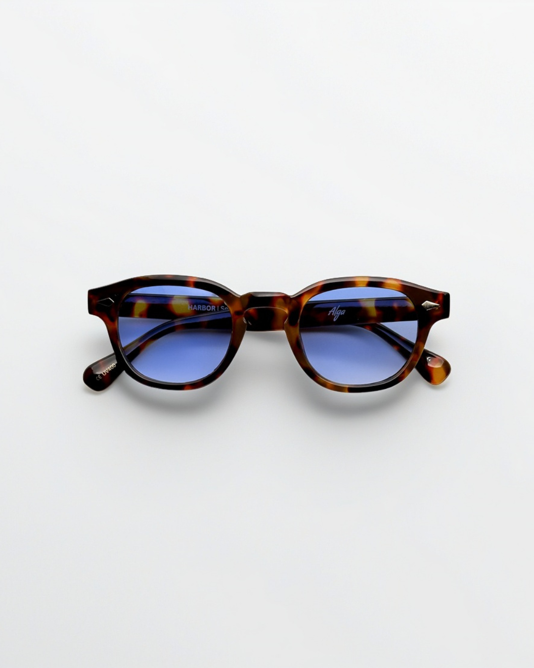 Aqua Tortoise - Alga