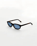 Reef Tortoise | Blue