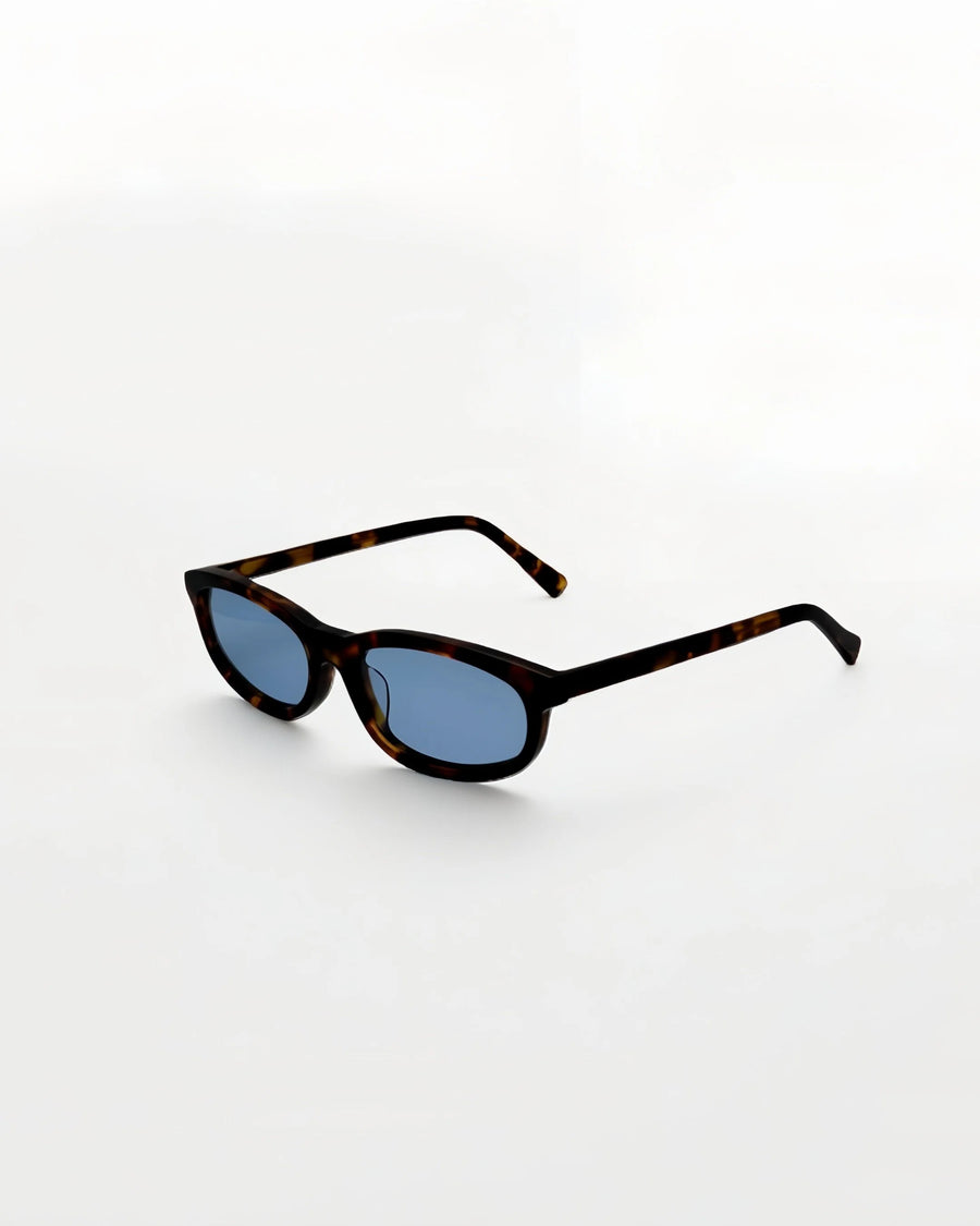Reef Tortoise | Blue - Alga