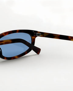 Reef Tortoise | Blue - Alga
