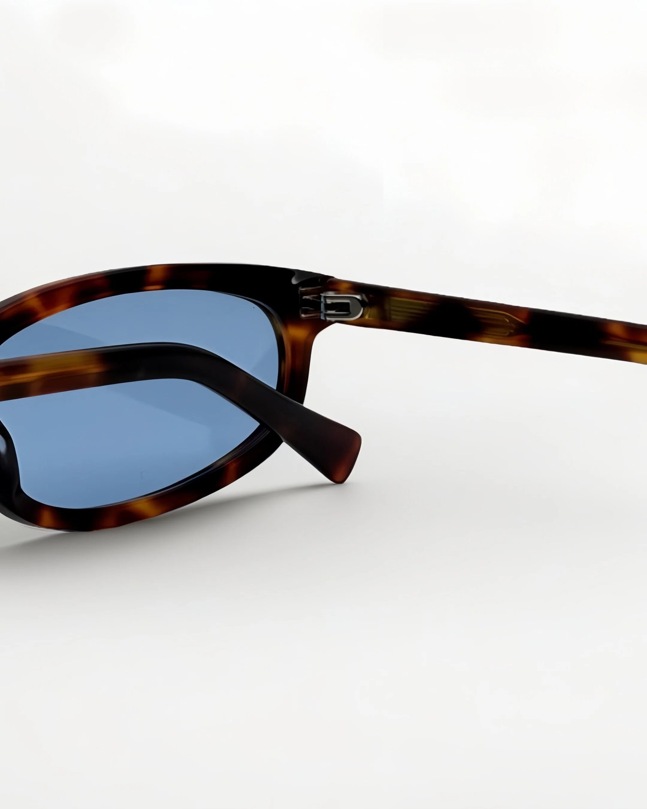 Reef Tortoise | Blue