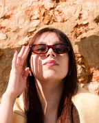 Reef Tortoise | Brown