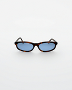 Reef Tortoise | Blue