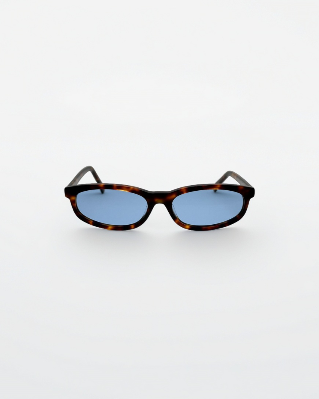 Reef Tortoise | Blue