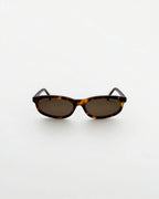 Reef Tortoise | Brown - Alga