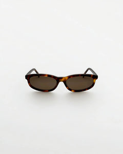 Reef Tortoise | Brown - Alga