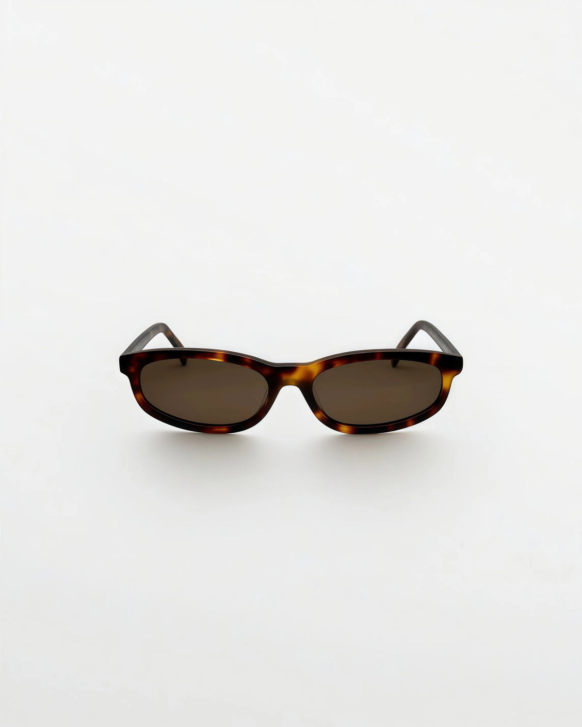 Reef Tortoise | Brown - Alga