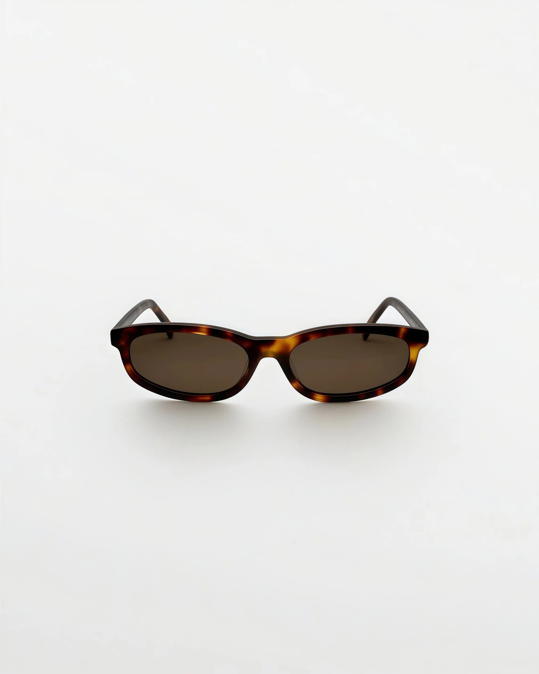 Reef Tortoise | Brown - Alga