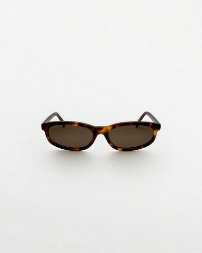 Reef Tortoise | Brown - Alga