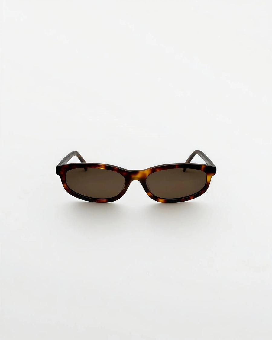 Reef Tortoise | Brown - Alga