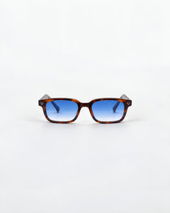 Cliff Tortoise | Blue Gradient