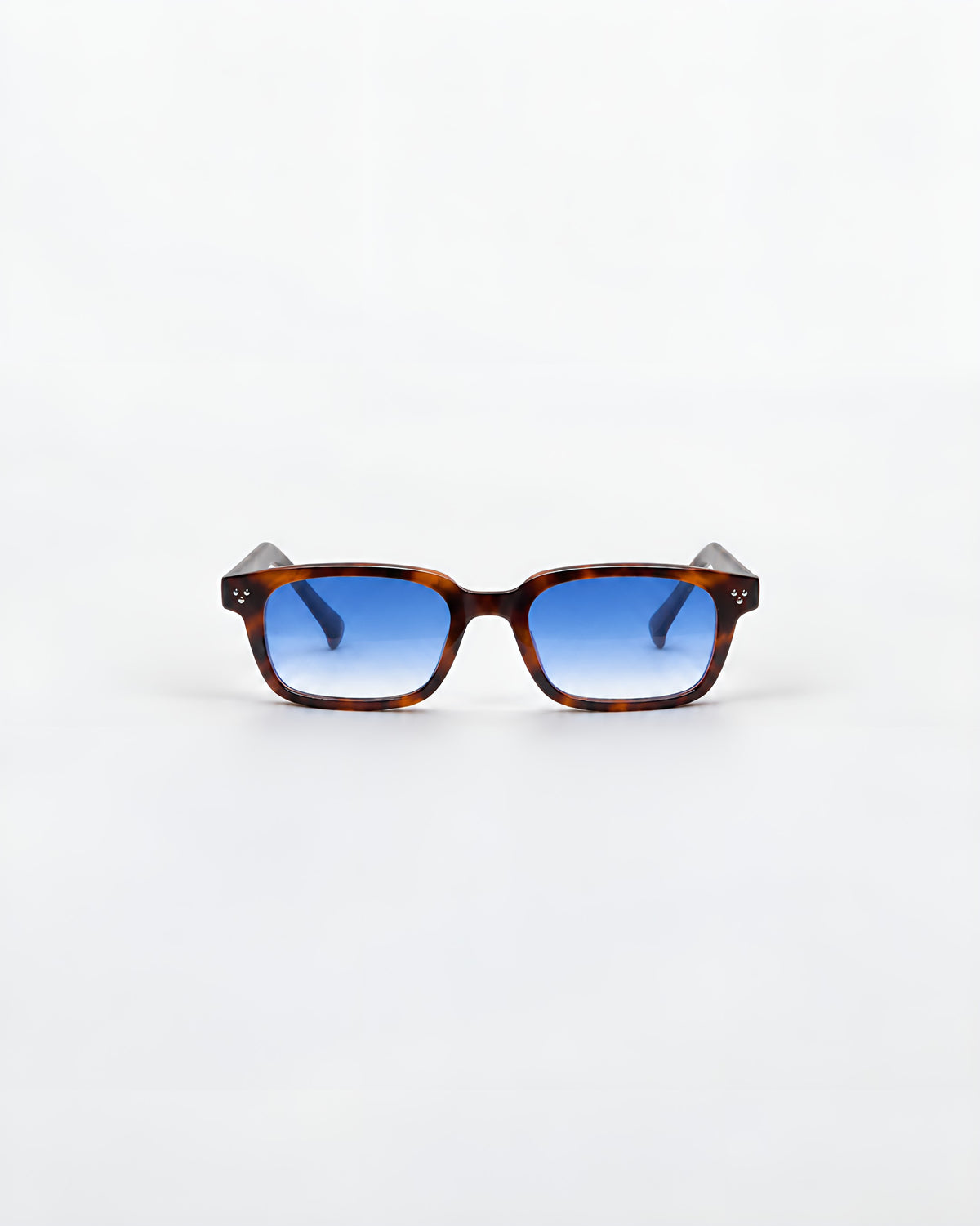 Cliff Tortoise | Blue Gradient - Alga