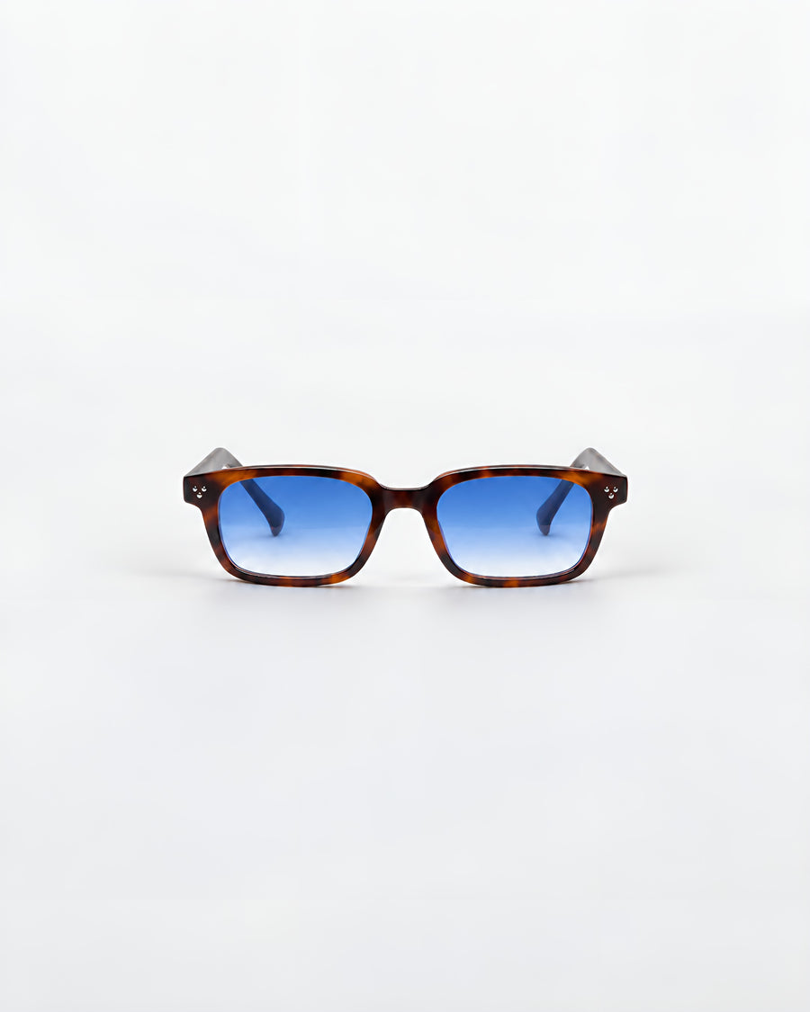 Cliff Tortoise | Blue Gradient - Alga