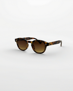 Sunset Tortoise - Alga