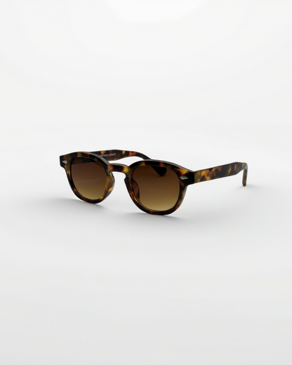 Sunset Tortoise - Alga