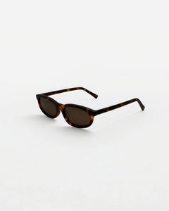 Reef Tortoise | Brown - Alga