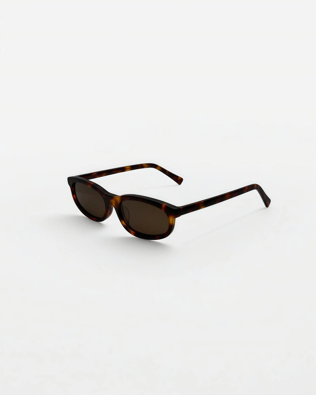 Reef Tortoise | Brown - Alga