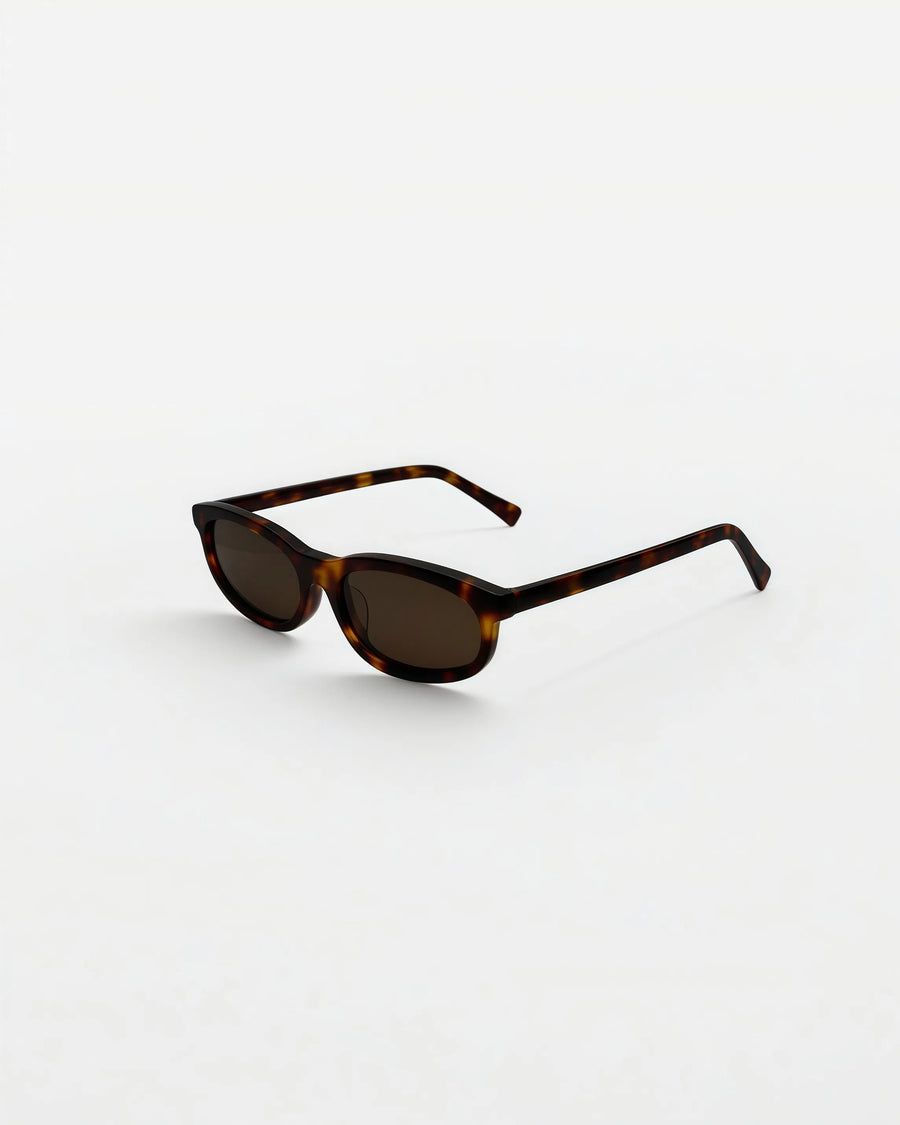 Reef Tortoise | Brown - Alga