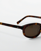 Reef Tortoise | Brown - Alga