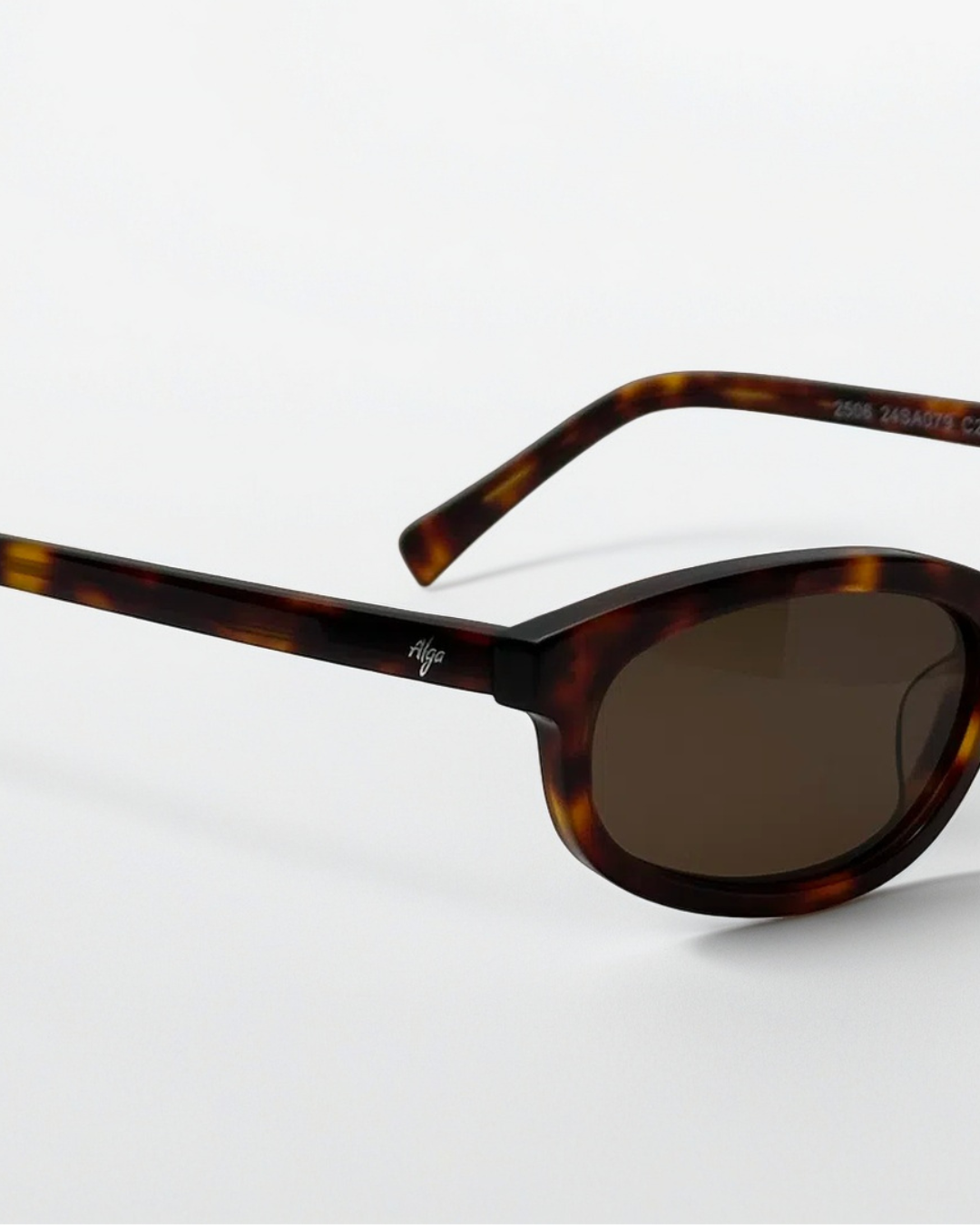 Reef Tortoise | Brown - Alga