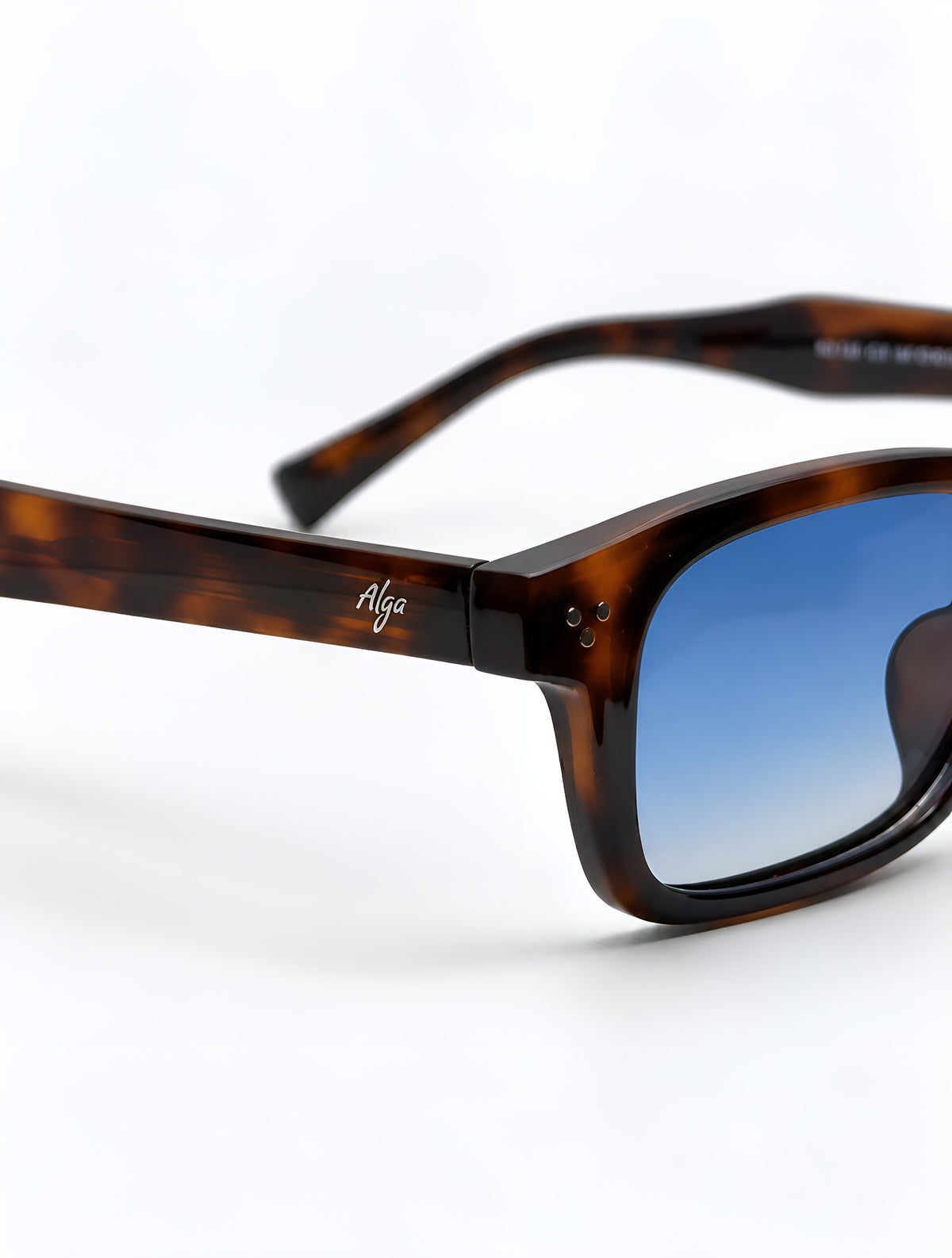 Cliff Tortoise | Blue Gradient