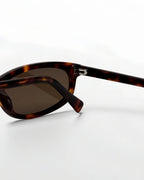 Reef Tortoise | Brown - Alga