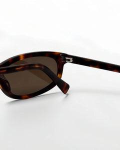 Reef Tortoise | Brown - Alga
