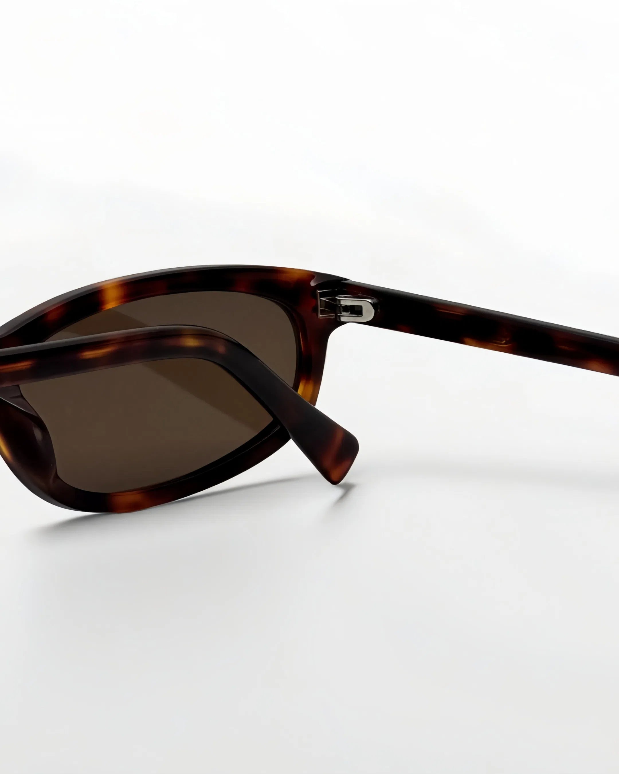 Reef Tortoise | Brown - Alga