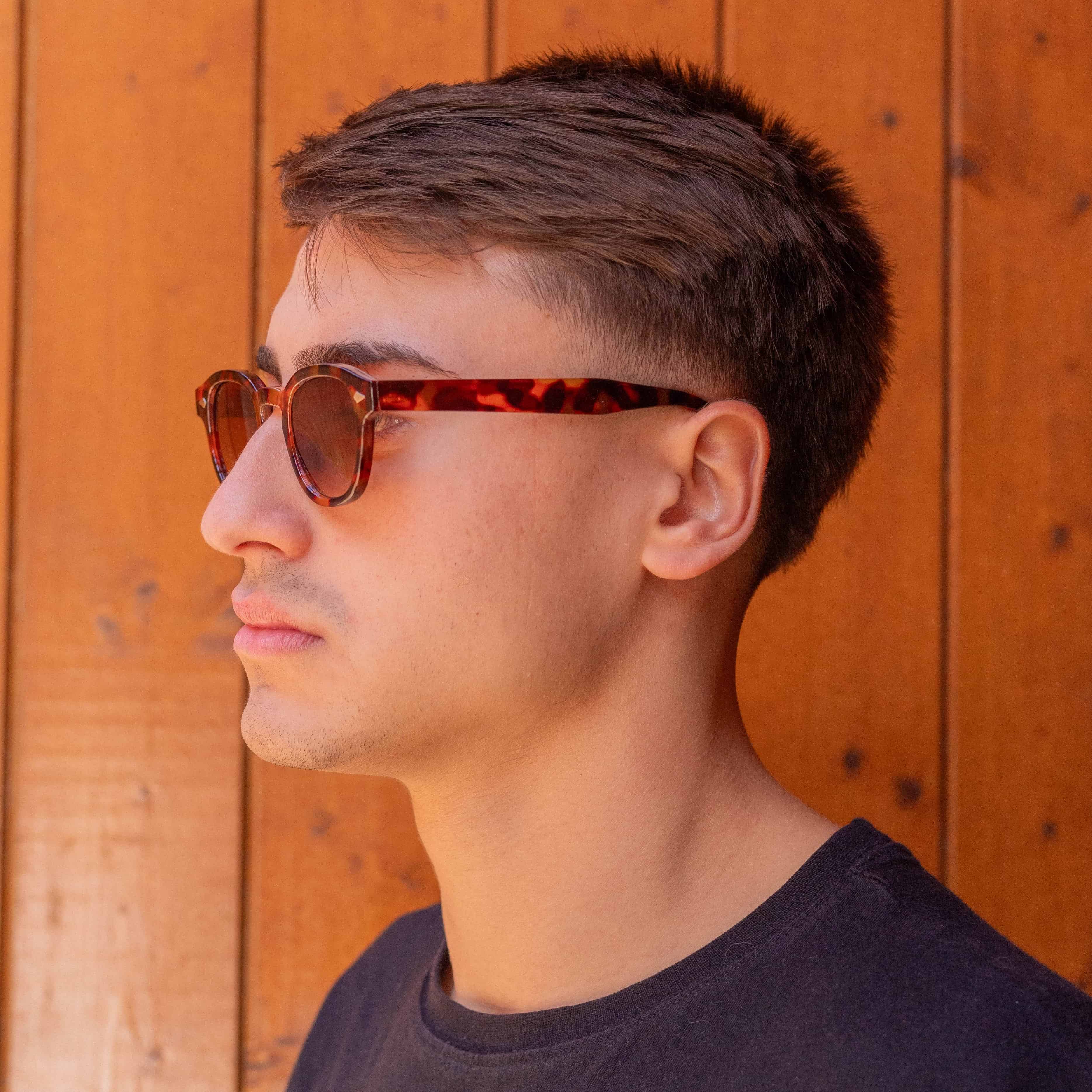 Sunset Tortoise - Alga