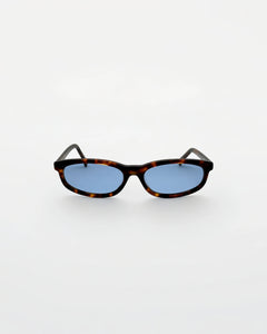 Reef Tortoise | Blue - Alga