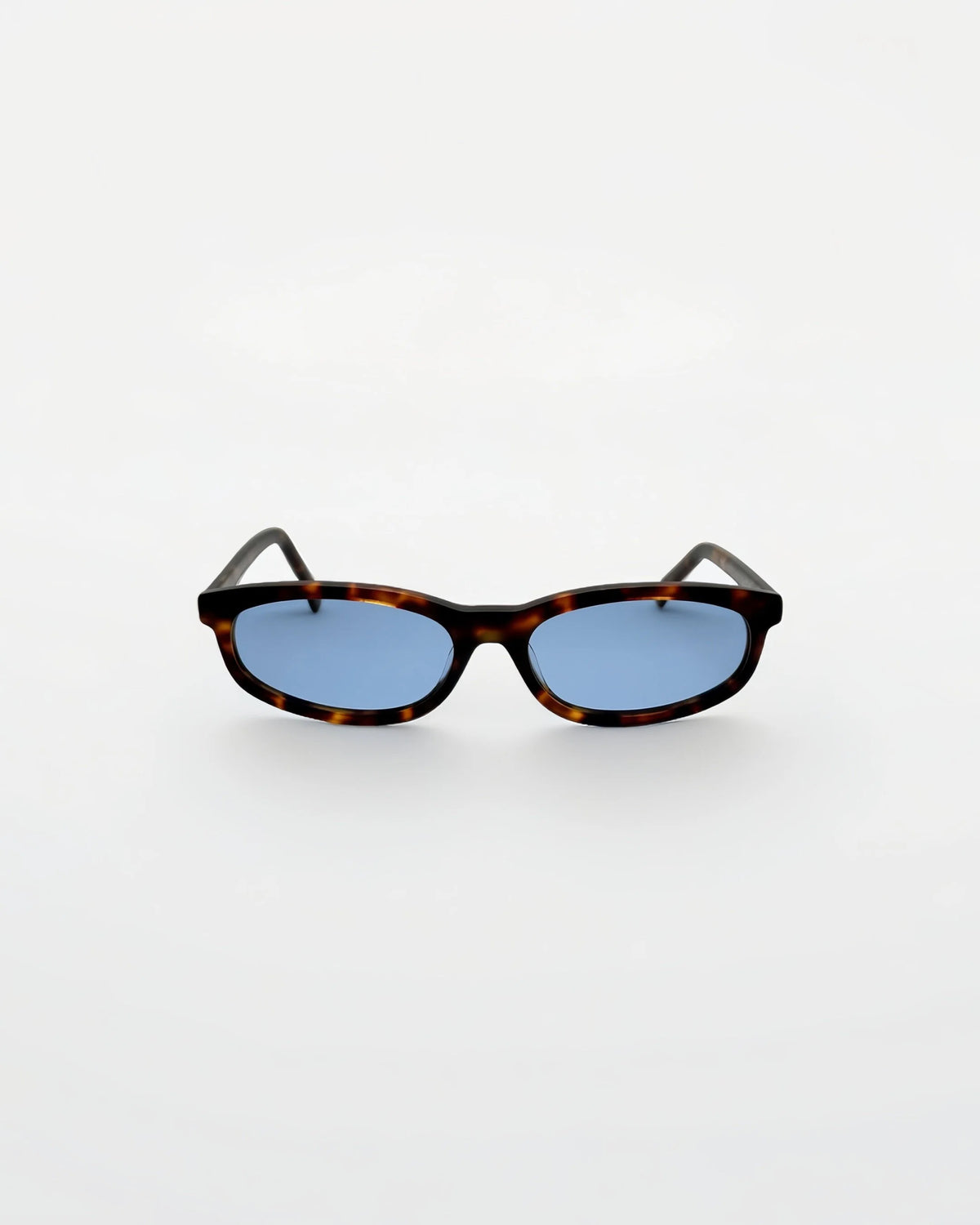Reef Tortoise | Blue - Alga