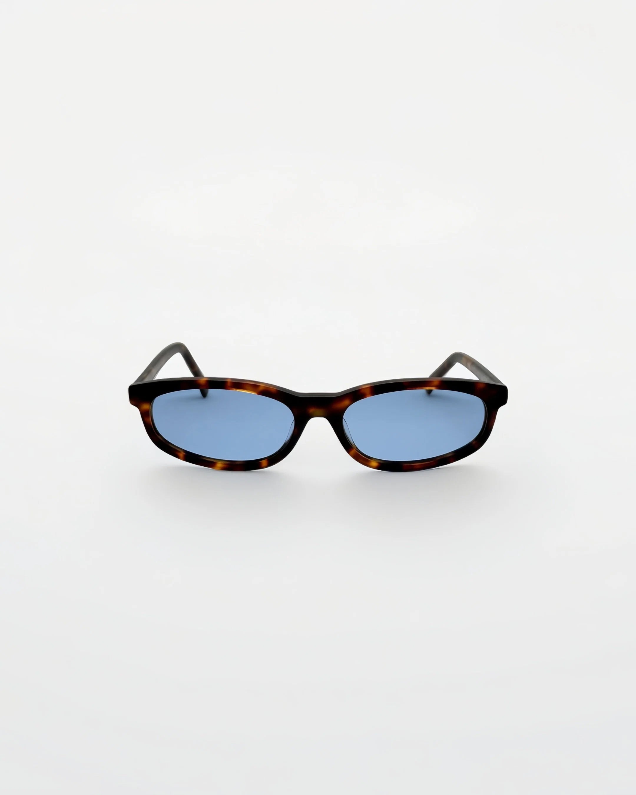 Reef Tortoise | Blue
