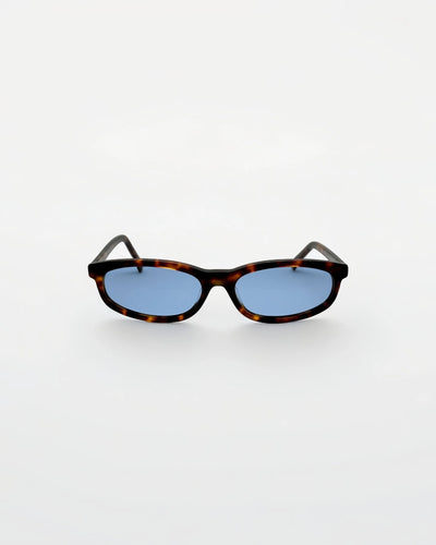 Reef Tortoise | Blue - Alga