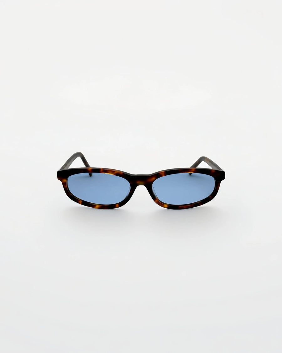 Reef Tortoise | Blue - Alga