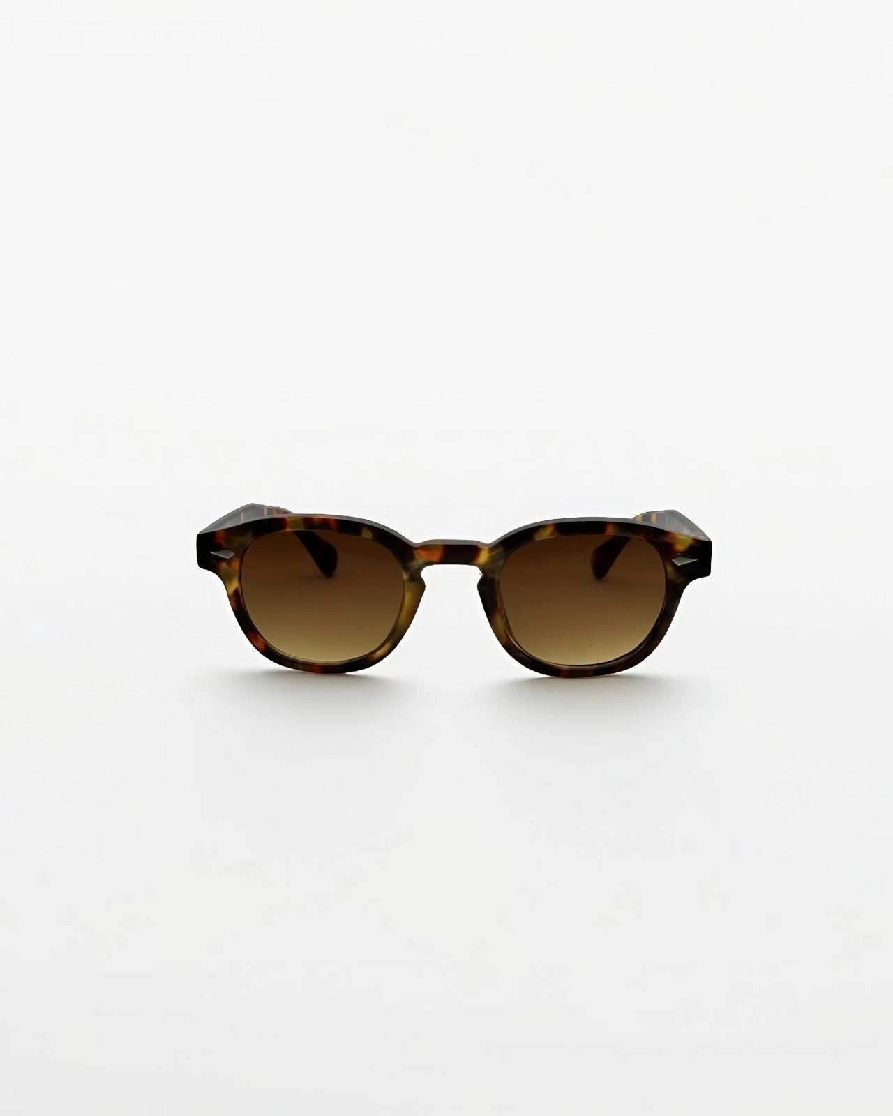 Sunset Tortoise - Alga