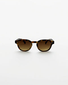 Sunset Tortoise - Alga