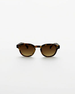 Sunset Tortoise - Alga