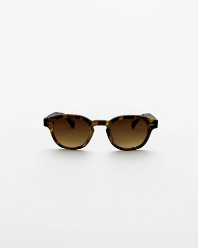 Sunset Tortoise - Alga