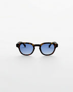 Aqua Tortoise - Alga