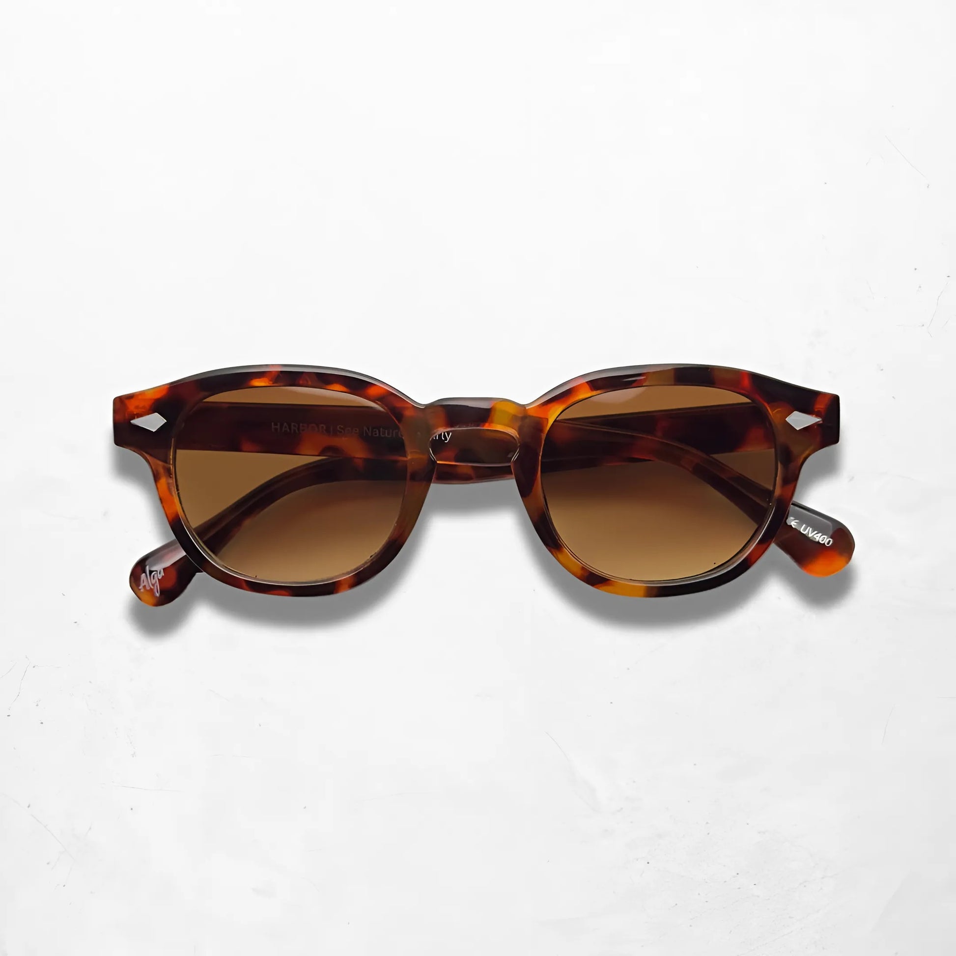 Sunset Tortoise - Alga
