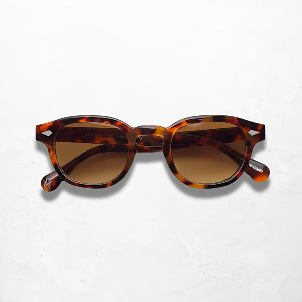 Sunset Tortoise - Alga