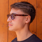 Aqua Tortoise - Alga