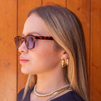 Aqua Tortoise - Alga