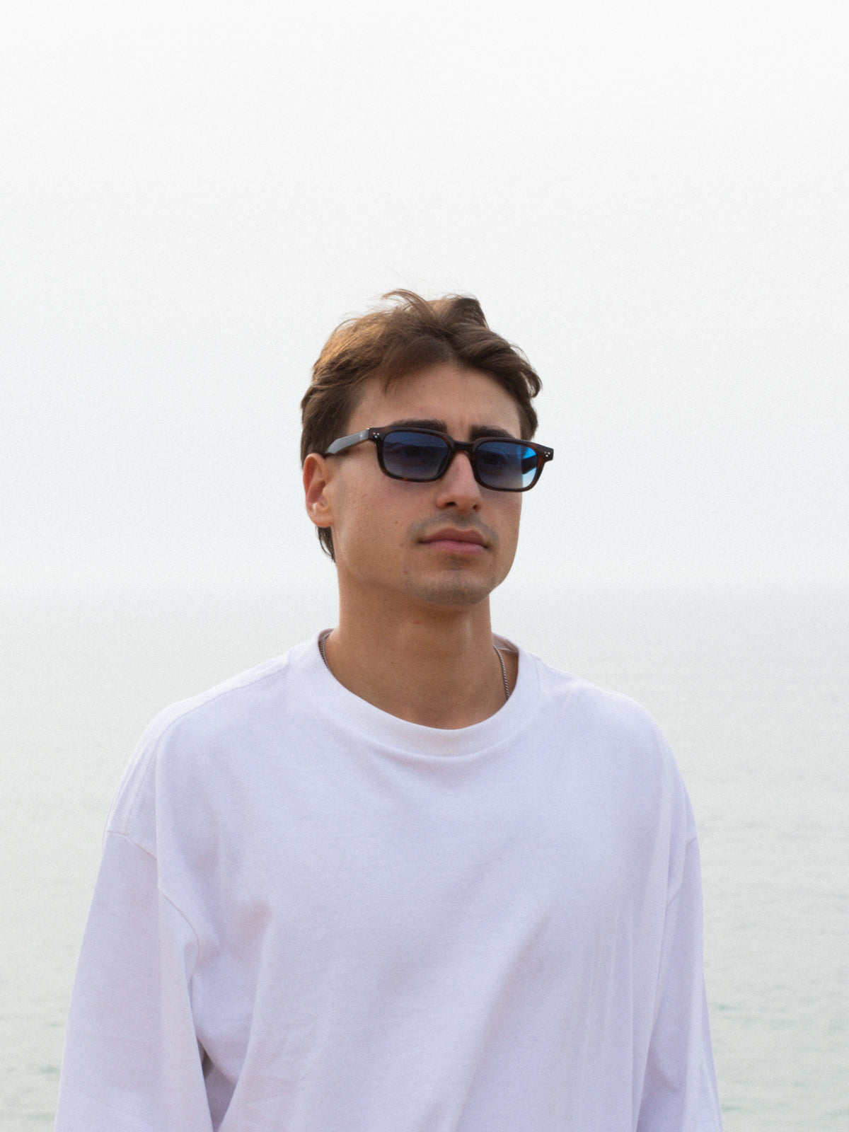 Cliff Tortoise | Blue Gradient