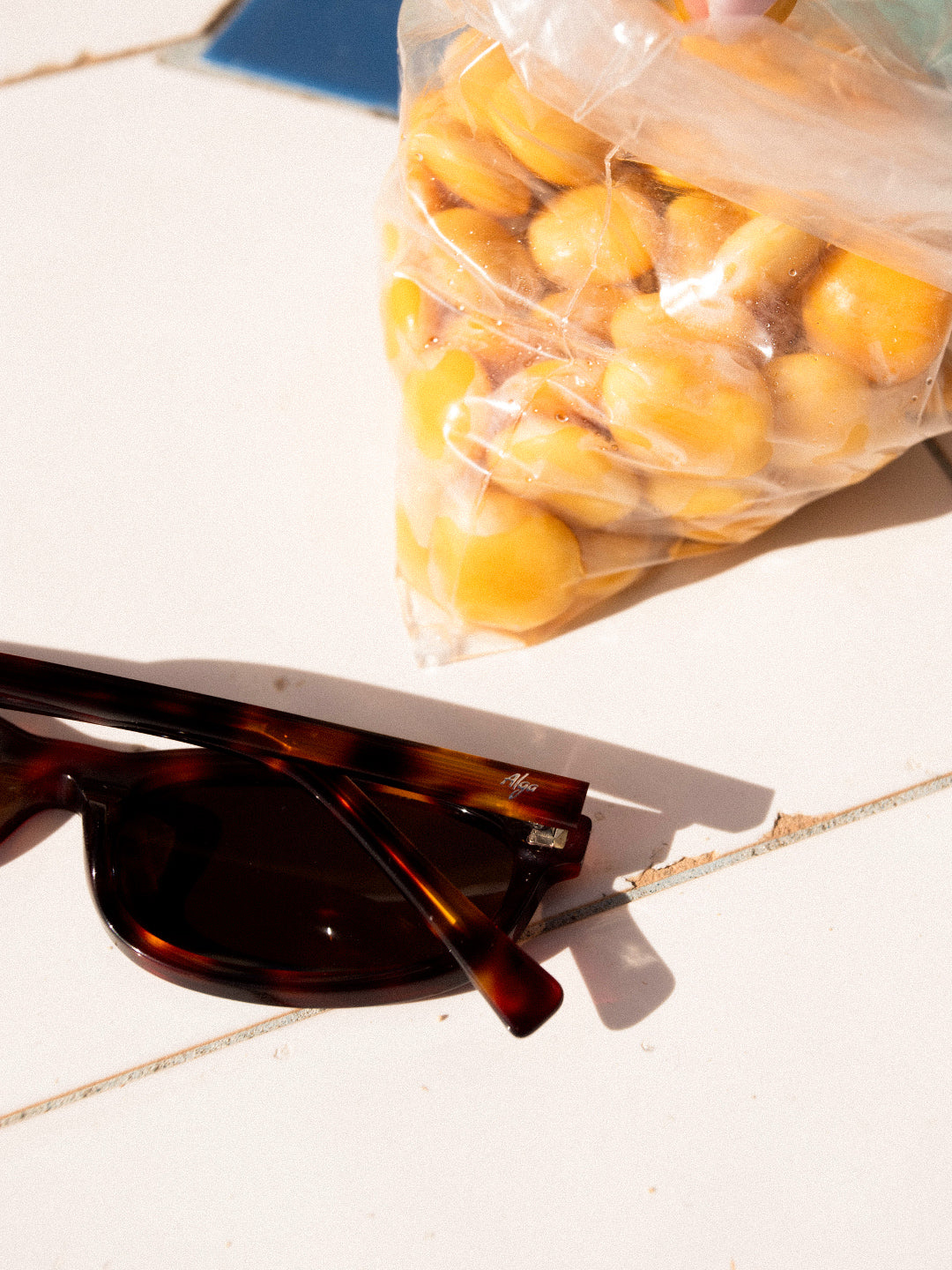 Reef Tortoise | Brown