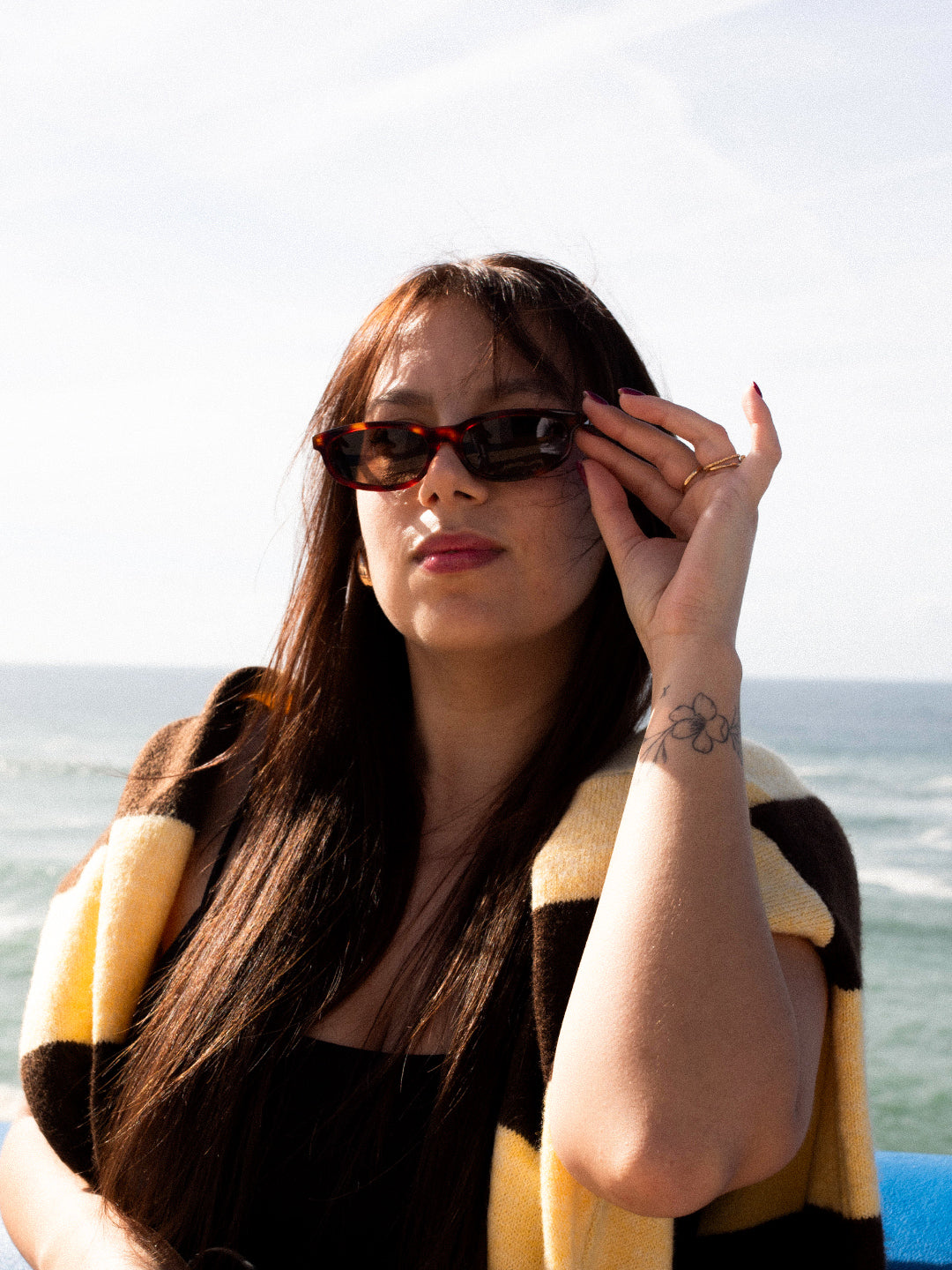 Reef Tortoise | Brown