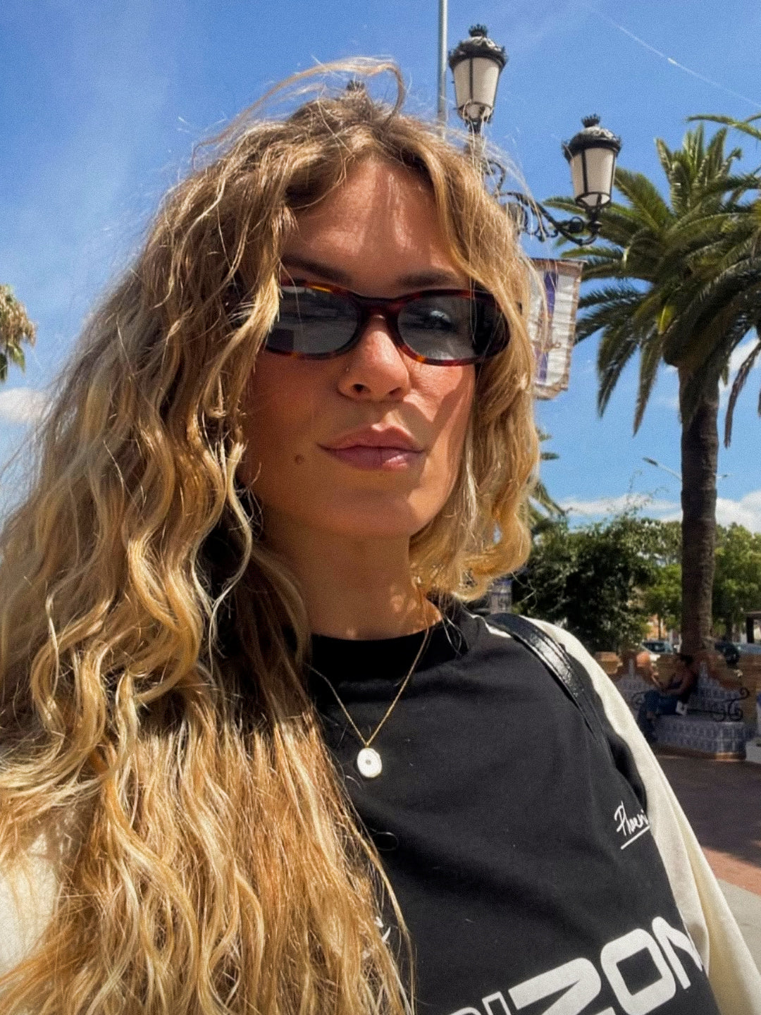 Reef Tortoise | Blue