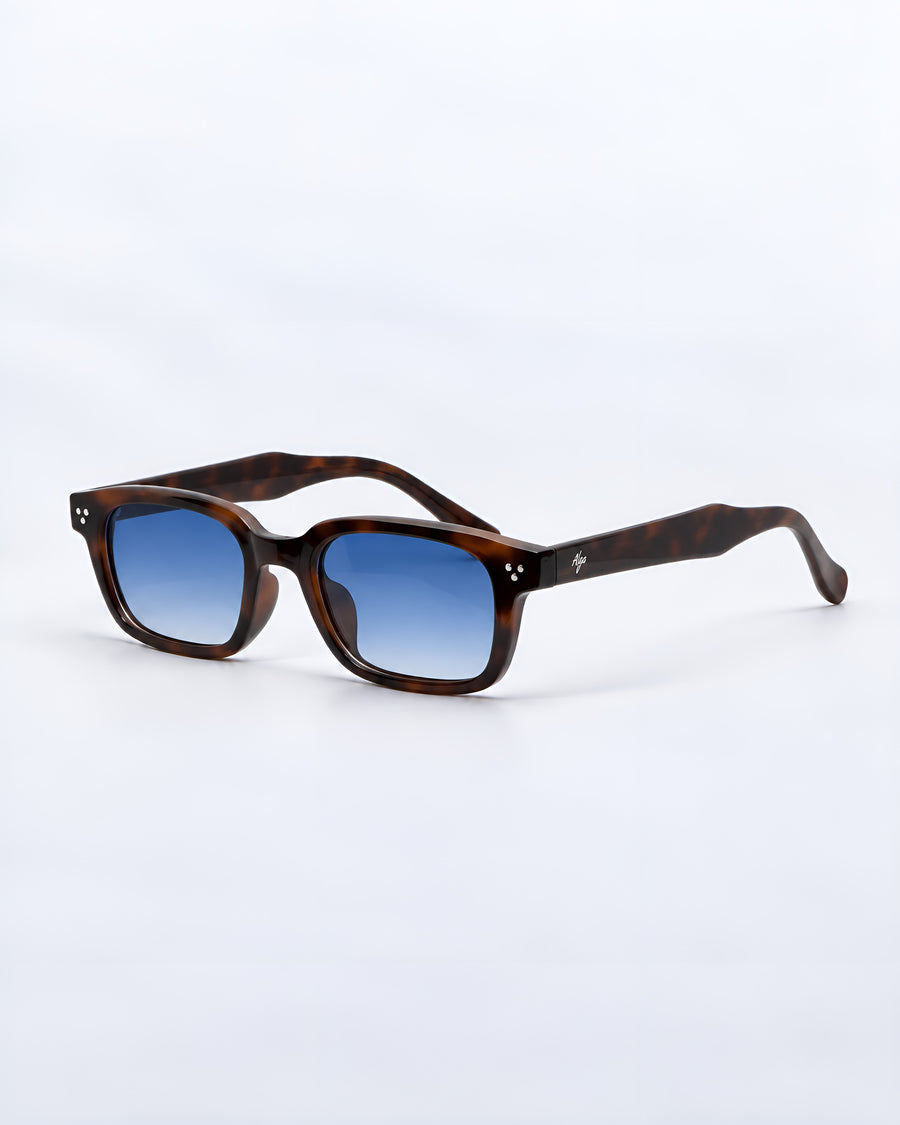 Cliff Tortoise | Blue Gradient - Alga
